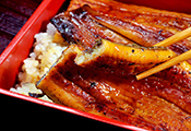 鰻